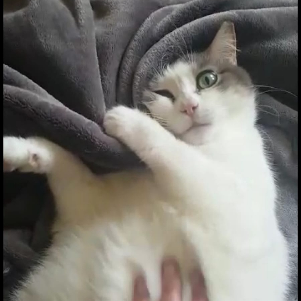 Meet your Posher, Celia